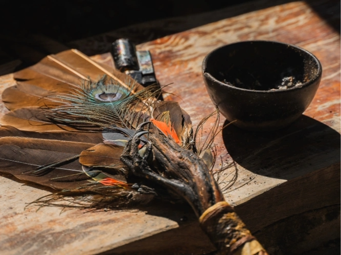 Chakra Express Journey with deep energetic reorganization